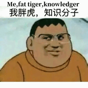 我胖虎,知识分子(me, fat tigger, knowledger)