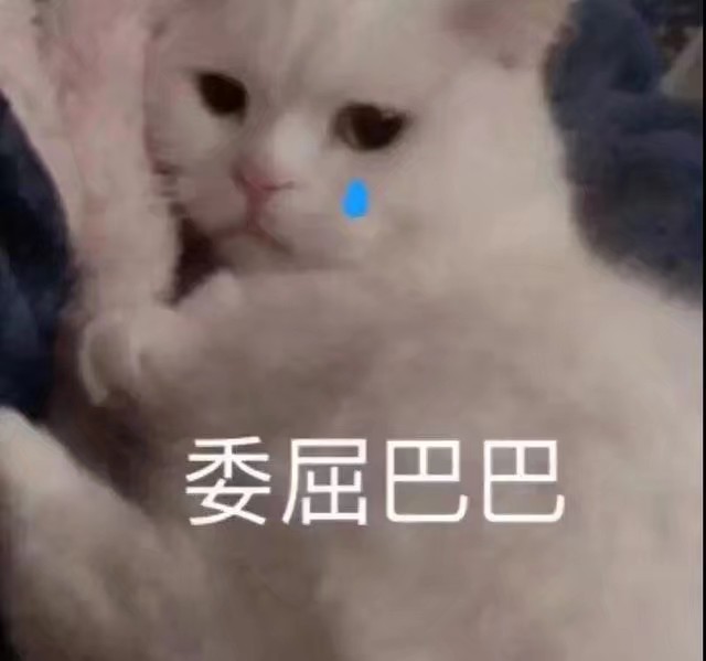 猫咪表情包可爱