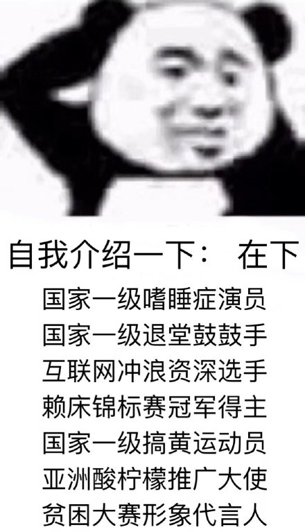 自我介绍一下:在下国家一级嗜睡症演员国家一级退堂鼓鼓手互联网冲浪