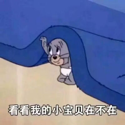 看看我的小宝贝在不在(猫和老鼠表情包)