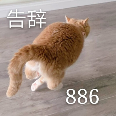 告辞886(橘猫表情包)