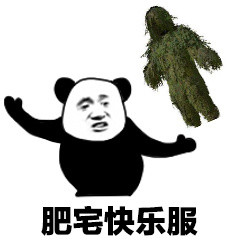 肥宅快乐服