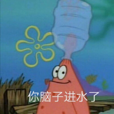 你脑子进水了(派大星表情包)