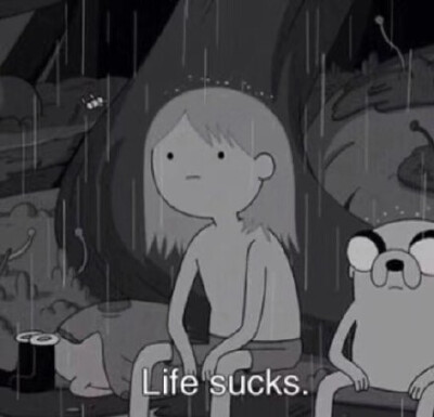 life sucks.(操蛋的生活 英文表情包)