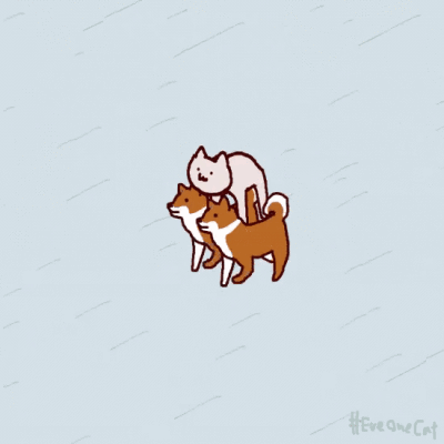 猫可爱/逗趣/沙雕生活真是五颜六色