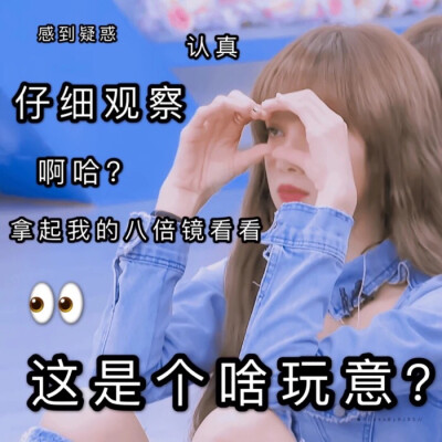 沙雕的lisa