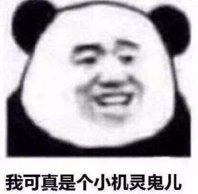 我可是个小机灵