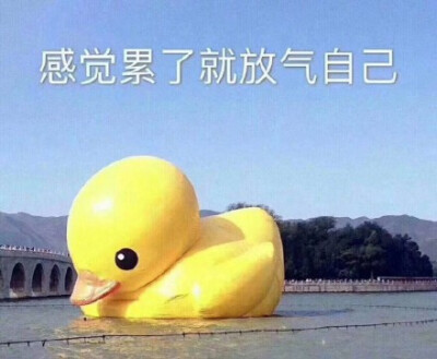 感觉自己棒棒哒