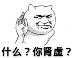 表情包肾虚