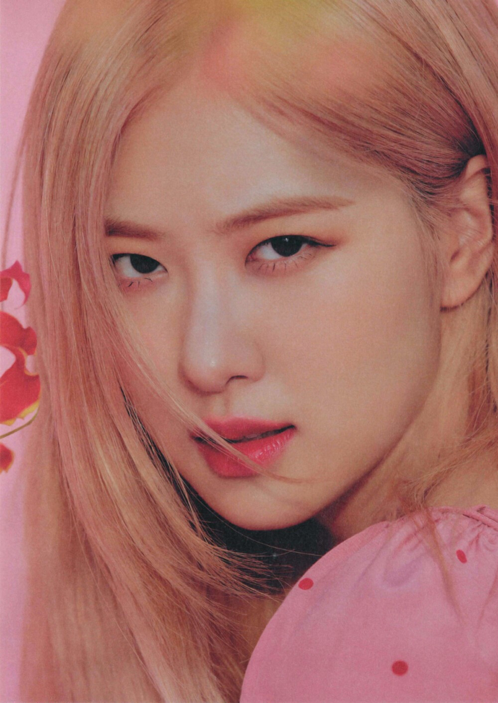 rosé