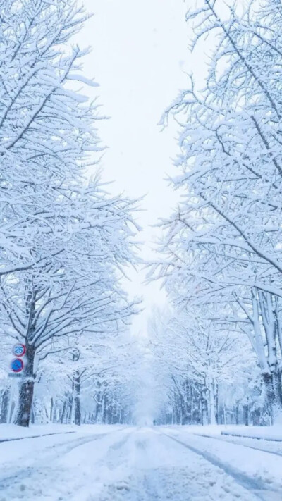 雪花釉 堆糖 美图壁纸兴趣社区