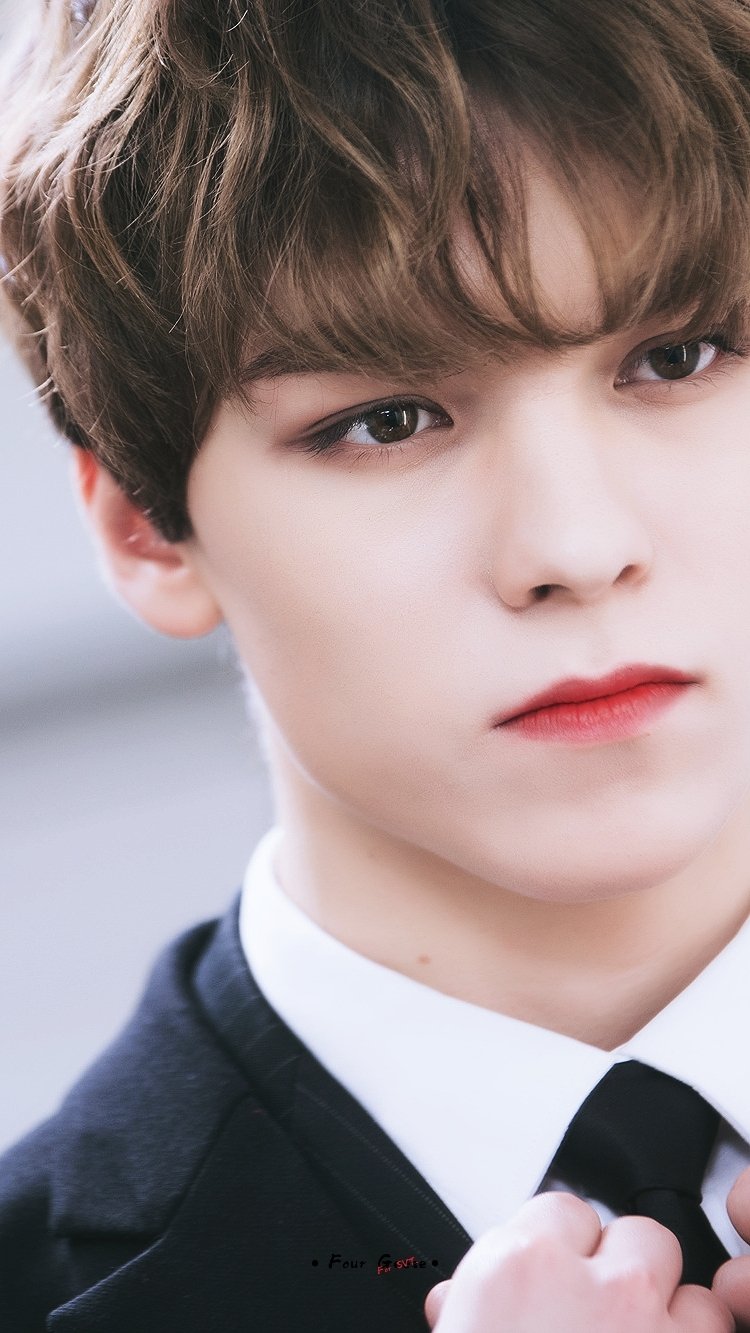 seventeen 崔瀚率 vernon 啵哝