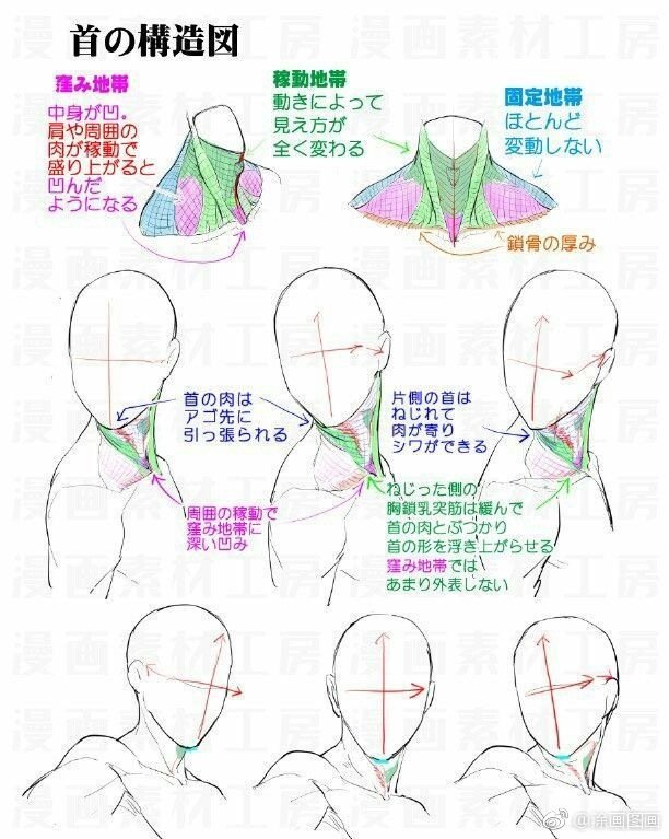 头颈肩结构教程.