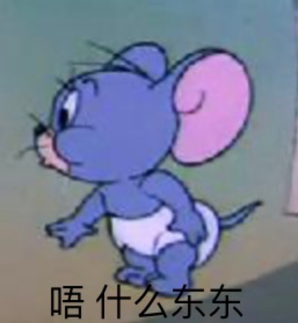 萌萌小泰菲