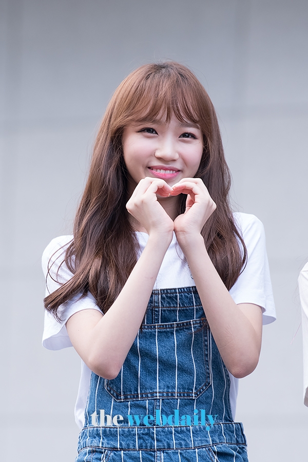 izone/金采源/金彩元/萝卜片妖精/天使少女/腌萝卜/kcw/虚势大佬/chae