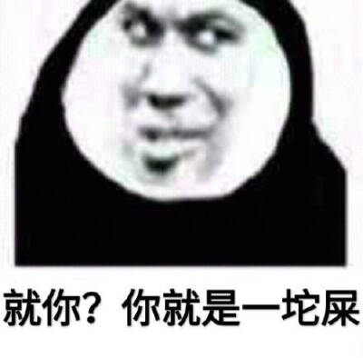 你就像是一坨