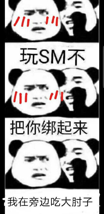 玩sm不表情包