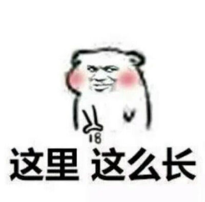 大概这么长