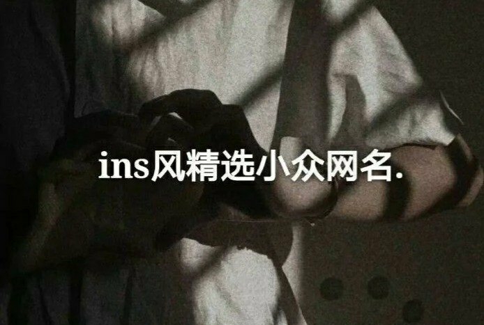 ins风小众网名