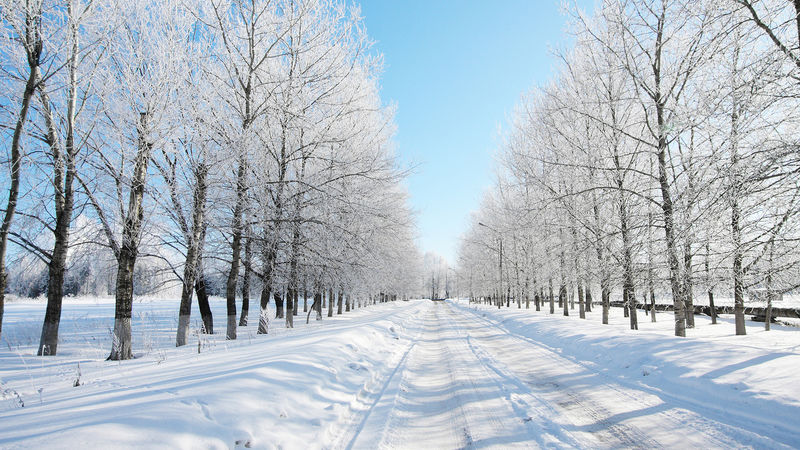 冬季雪景-macw图库素材