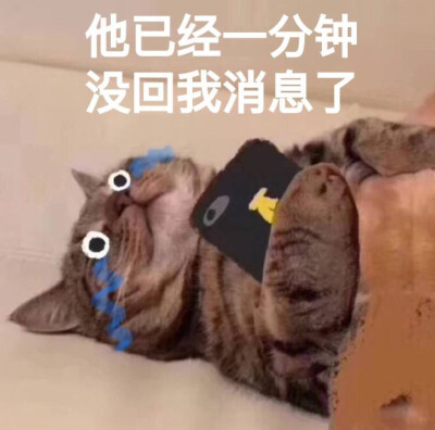 沙雕表情包～ - 堆糖,美图壁纸兴趣社区