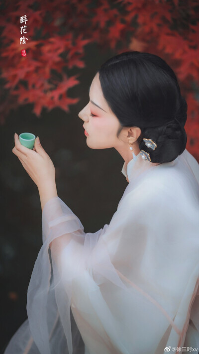 东篱把酒黄昏后 堆糖网