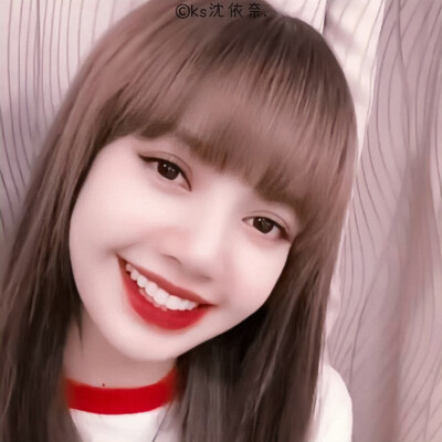 lisa 简介