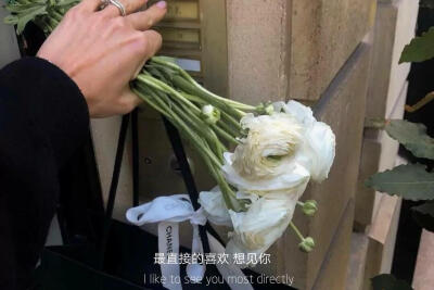 恋爱的背景图文字