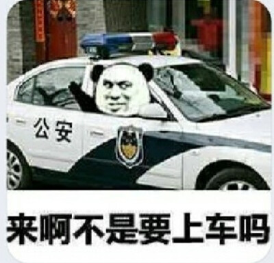 表情包