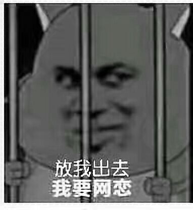 放我出去我要网恋