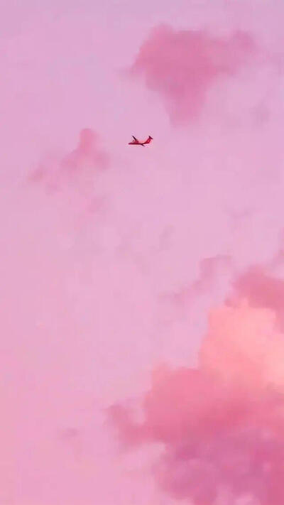 背景,壁纸,温柔,美好