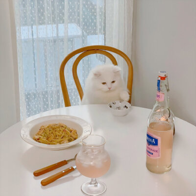 这猫猫也太可爱了吧 背景图 朋友圈说说配图 生日文案配图 头像