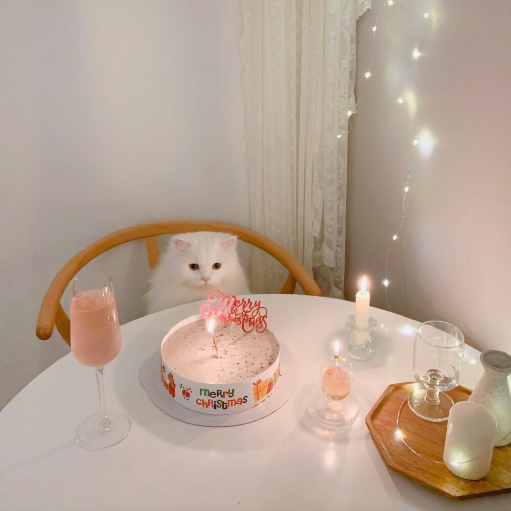 这猫猫也太可爱了吧背景图 朋友圈说说配图 生日文案配图 头像
