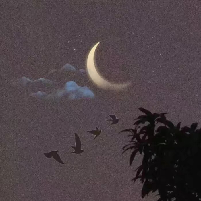 等苦尽甘来的那一天山河星月都做贺礼.