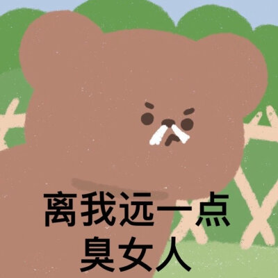 小熊表情包|野熊disco