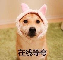 在线等夸(狗子表情包 )