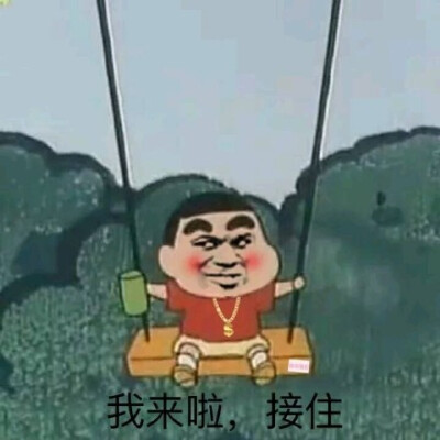 我回来接住我