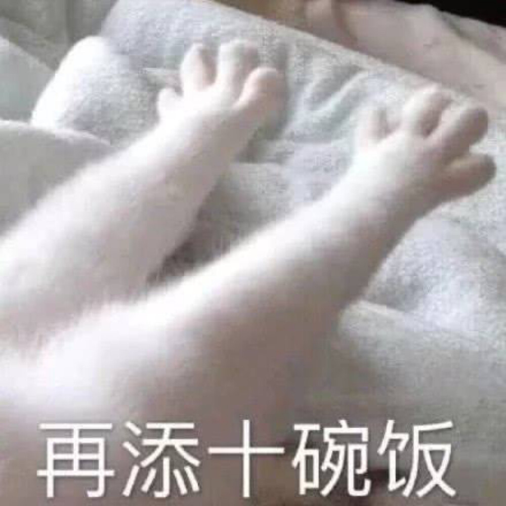 猫猫表情包再添十碗饭