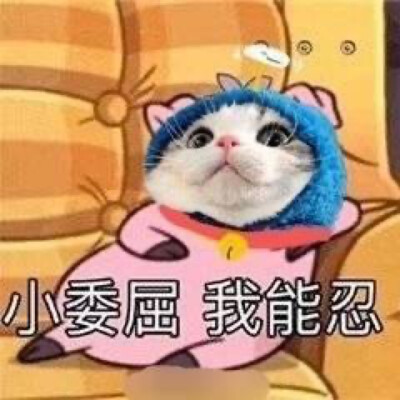 表情包可怜卖萌