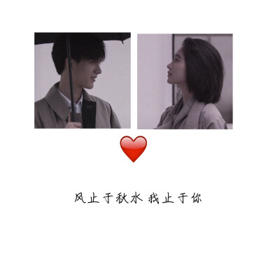 壁纸‖头像‖背景‖丧‖悲伤‖丧‖甜‖文字‖收藏‖心灵鸡汤‖情感‖