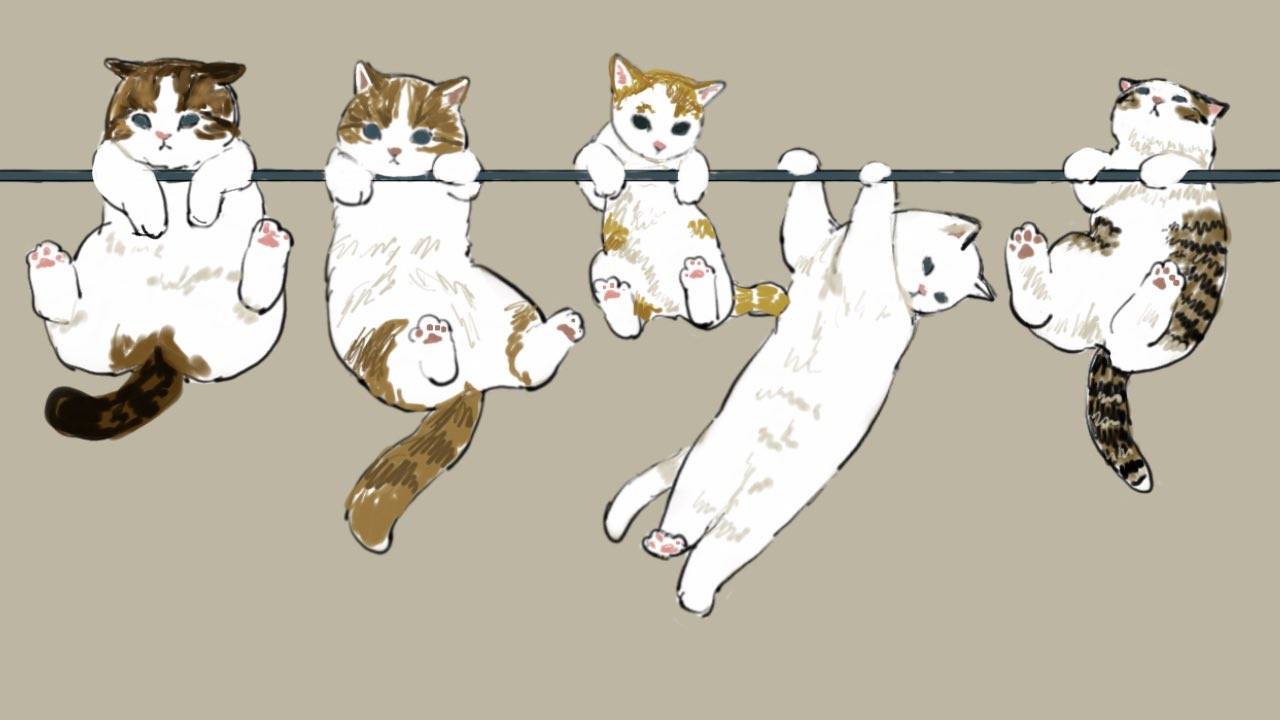 猫 堆糖,美图壁纸兴趣社区