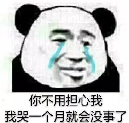 你不用担心我我哭一个月就会没事了