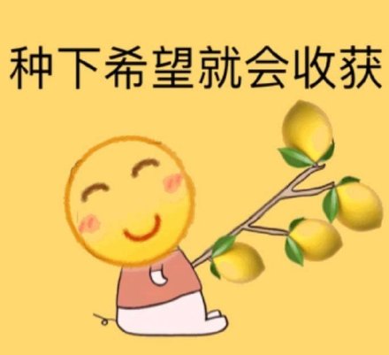 种下希望就会收获(柠檬精)