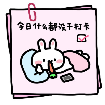 今日打卡~嘻嘻