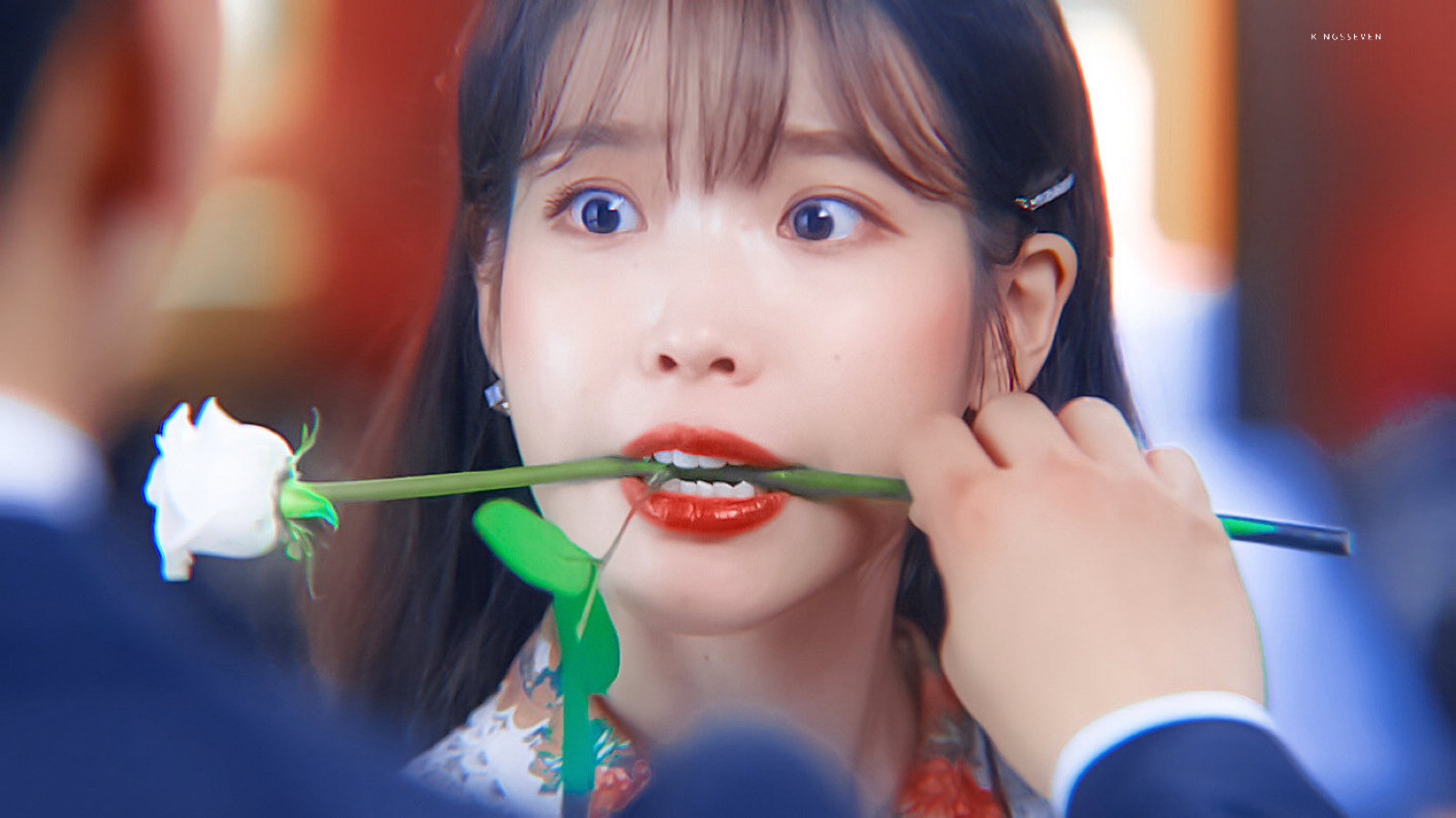 iu | 德鲁纳酒店 cr:黑崎一贤 - 堆糖,美图壁纸兴趣