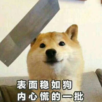 表面稳如狗,内心慌的一批