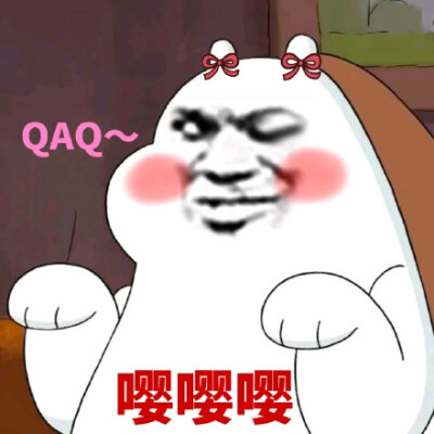 qaqt嘤嘤嘤(咱们裸熊)