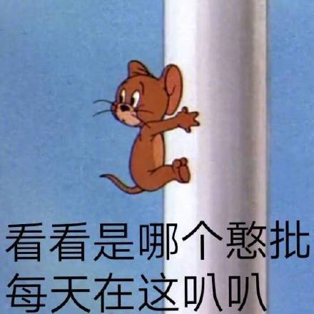 看看是哪个憨批每天在这叭叭(猫和老鼠杰瑞鼠表情包)