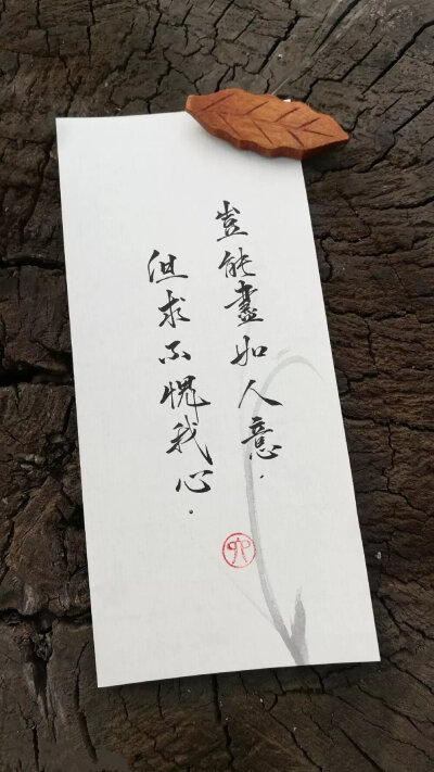 把酒祝东风,且共从容.