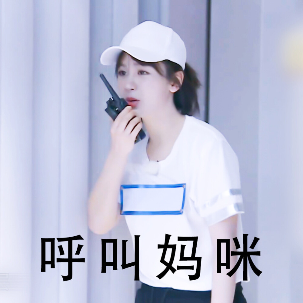 杨紫表情包